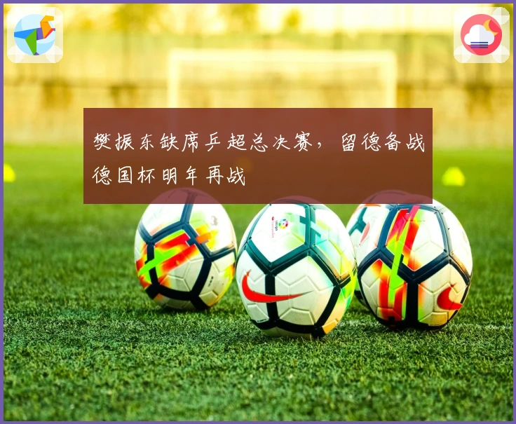 樊振东缺席乒超总决赛，留德备战德国杯明年再战